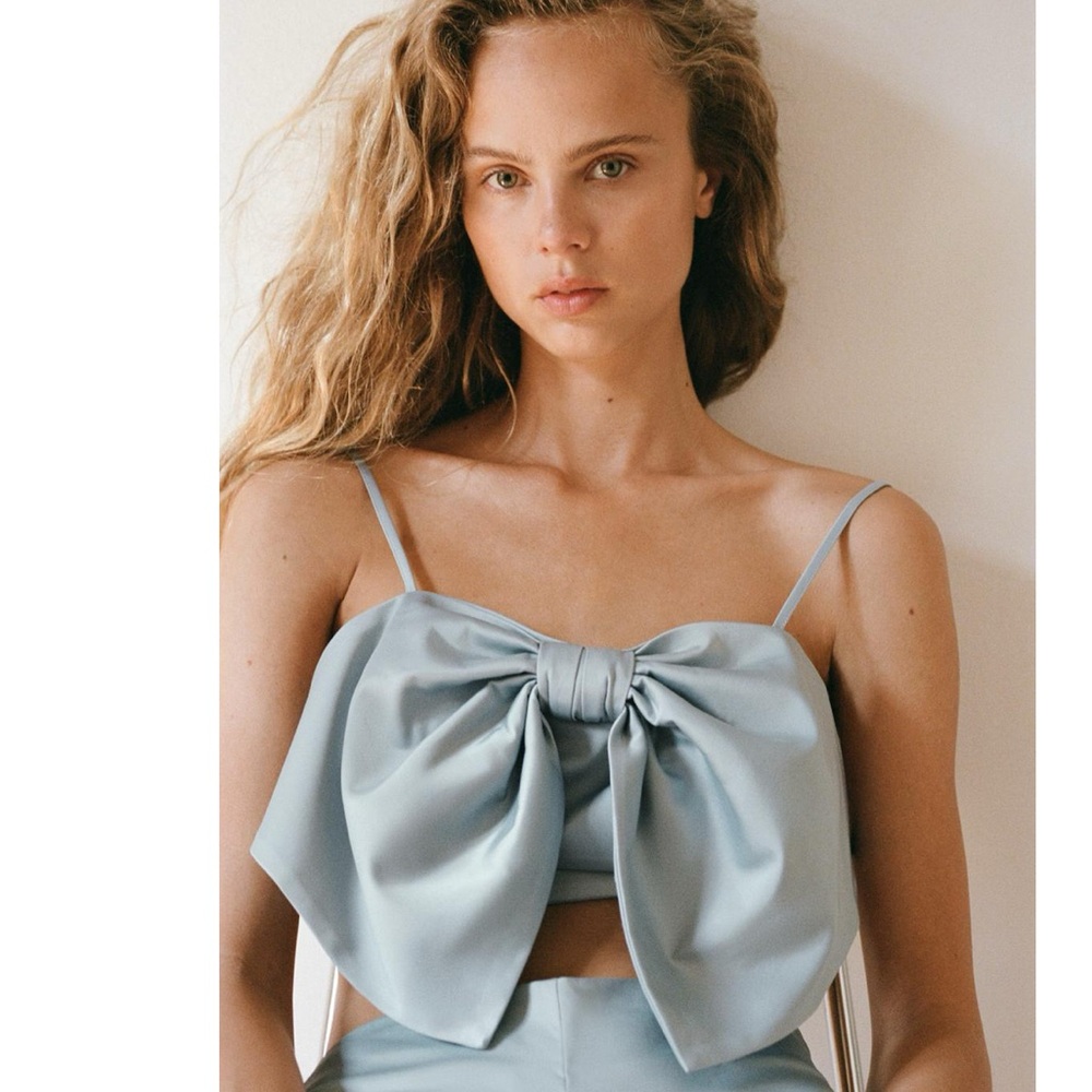 ZARA Elegant Blue Bow Crop Top